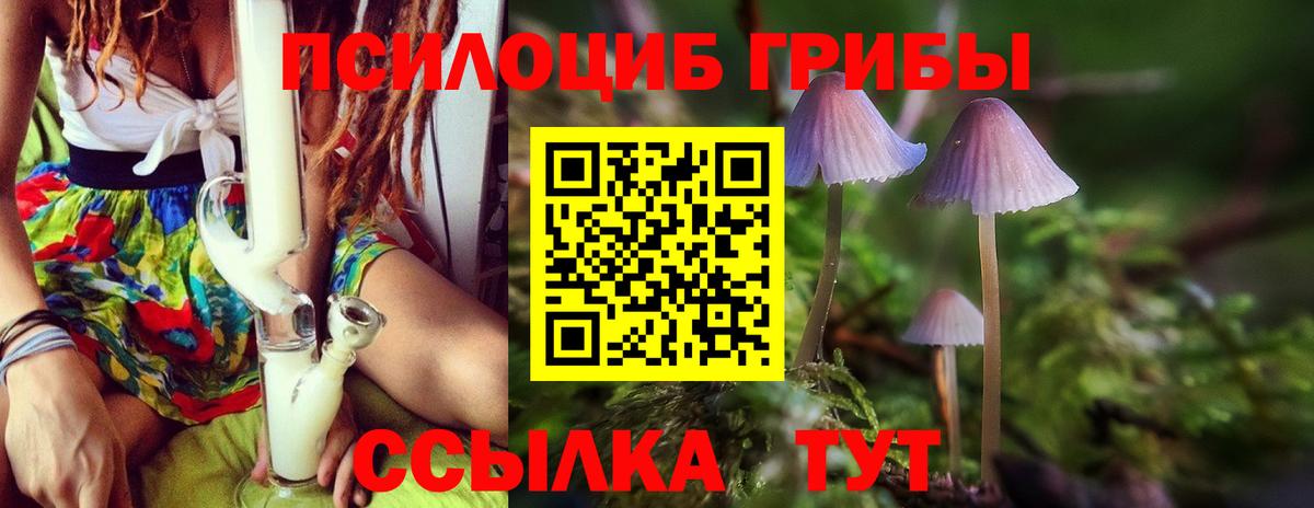 Псилоцибиновые грибы GOLDEN TEACHER Ангарск